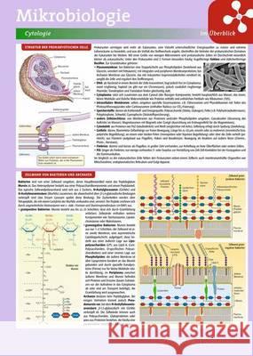 Mikrobiologie im Überblick, 8 Lerntafeln  9783642419751 Springer Spektrum