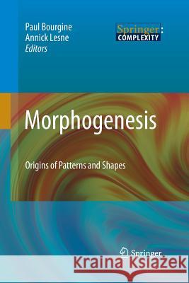 Morphogenesis: Origins of Patterns and Shapes Bourgine, Paul 9783642423741 Springer