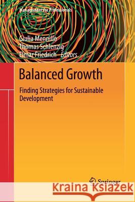 Balanced Growth: Finding Strategies for Sustainable Development Mennillo, Giulia 9783642427329 Springer