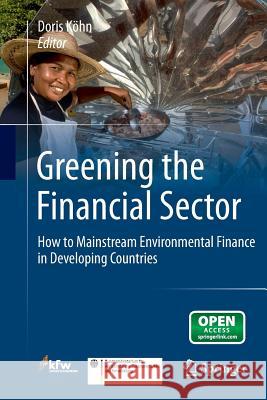Greening the Financial Sector: How to Mainstream Environmental Finance in Developing Countries Köhn, Doris 9783642431807 Springer