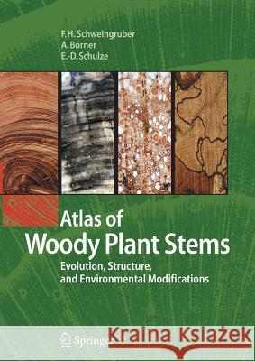 Atlas of Woody Plant Stems: Evolution, Structure, and Environmental Modifications Schweingruber, Fritz Hans 9783642436444