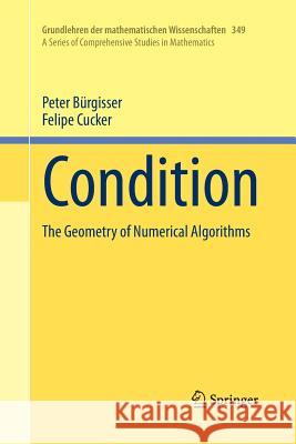 Condition: The Geometry of Numerical Algorithms Bürgisser, Peter 9783642440120