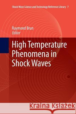 High Temperature Phenomena in Shock Waves Raymond Brun 9783642440311 Springer