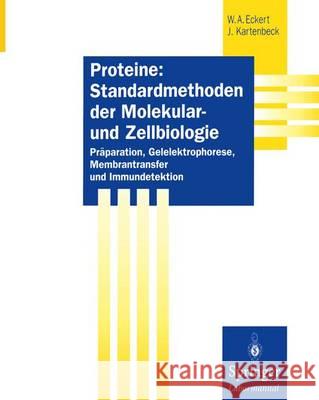 Proteine: Standardmethoden Der Molekular- Und Zellbiologie: Präparation, Gelelektrophorese, Membrantransfer Und Immundetektion Eckert, Werner A. 9783642477591 Springer