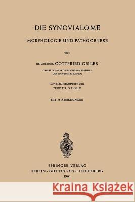 Die Synovialome: Morphologie Und Pathogenese Geiler, Gottfried 9783642494383