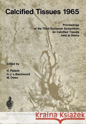 Calcified Tissues 1965: Proceedings of the Third European Symposium on Calcified Tissues Fleisch, H. 9783642495144