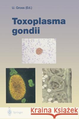 Toxoplasma Gondii Gross, Uwe 9783642510168 Springer