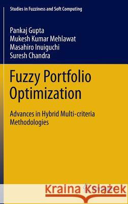 Fuzzy Portfolio Optimization: Advances in Hybrid Multi-Criteria Methodologies Gupta, Pankaj 9783642546518