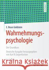 Wahrnehmungspsychologie: Der Grundkurs Gegenfurtner, Karl R. 9783642550737 Springer