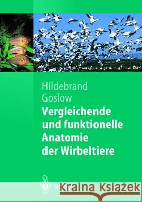 Vergleichende Und Funktionelle Anatomie Der Wirbeltiere Distler, Claudia 9783642623752 Springer