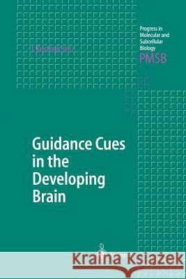 Guidance Cues in the Developing Brain Ivica Kostovic 9783642624261 Springer