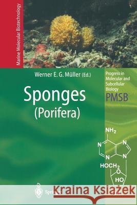 Sponges (Porifera) Werner E. G. Muller W. E. G. Muller 9783642624711 Springer