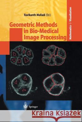 Geometric Methods in Bio-Medical Image Processing Ravikanth Malladi 9783642627842 Springer-Verlag Berlin and Heidelberg GmbH & 