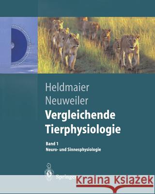 Vergleichende Tierphysiologie: Neuro- Und Sinnesphysiologie Heldmaier, Gerhard 9783642629242 Springer