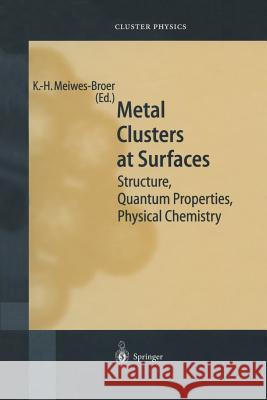 Metal Clusters at Surfaces: Structure, Quantum Properties, Physical Chemistry Meiwes-Broer, Karl-Heinz 9783642630644