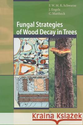 Fungal Strategies of Wood Decay in Trees Francis W. M. R. Schwarze Julia Engels Claus Mattheck 9783642631337 Springer