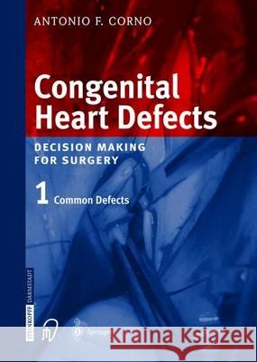 Congenital Heart Defects: Decision Making for Cardiac Surgery Volume 1 Common Defects Segesser, L. K. Von 9783642632457 Steinkopff-Verlag Darmstadt