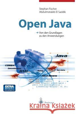 Open Java: Von Den Grundlagen Zu Den Anwendungen Fischer, Stephan 9783642635755 Springer