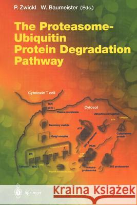 The Proteasome -- Ubiquitin Protein Degradation Pathway Zwickl, Peter 9783642639715 Springer