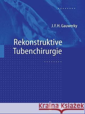 Rekonstruktive Tubenchirurgie Johannes F. H. Gauwerky 9783642641428 Springer