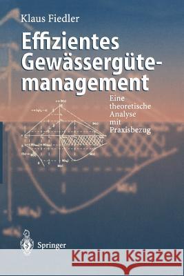 Effizientes Gewässergütemanagement: Eine Theoretische Analyse Mit Praxisbezug Fiedler, Klaus 9783642644542
