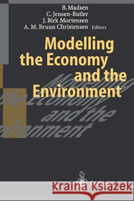 Modelling the Economy and the Environment Bjarne Madsen Chris Jensen-Butler Jorgen Bir 9783642647086 Springer