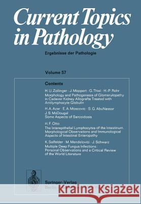 Current Topics in Pathology / Ergebnisse Der Pathologie Grundmann, Ekkehard 9783642654671