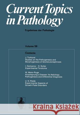 Current Topics in Pathology: Ergebnisse Der Pathologie Grundmann, E. 9783642658594 Springer