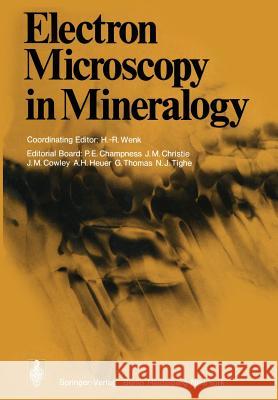 Electron Microscopy in Mineralogy N. J. Tighe 9783642661983 Springer