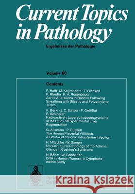 Current Topics in Pathology / Ergebnisse Der Pathologie: Ergebnisse Der Pathologie Grundmann, E. 9783642662171 Springer