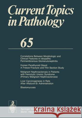 Current Topics in Pathology: Continuation of Ergebnisse Der Pathologie Grundmann, E. 9783642667053 Springer
