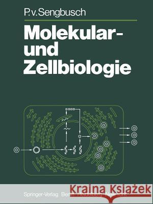 Molekular- Und Zellbiologie P. V. Sengbusch 9783642673597 Springer