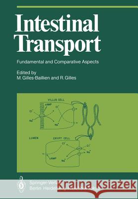 Intestinal Transport: Fundamental and Comparative Aspects Gilles-Baillien, M. 9783642691119 Springer