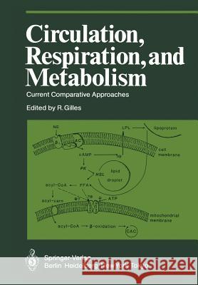 Circulation, Respiration, and Metabolism: Current Comparative Approaches Gilles, Raymond 9783642706127