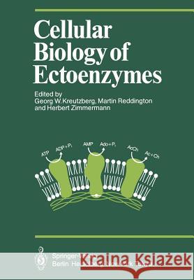 Cellular Biology of Ectoenzymes: Proceedings of the International Erwin-Riesch-Symposium on Ectoenzymes May 1984 Kreutzberg, Georg W. 9783642706660 Springer