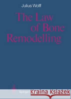 The Law of Bone Remodelling Julius Wolff Paul Maquet Ronald Furlong 9783642710339 Springer