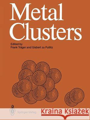 Metal Clusters: Proceedings of an International Symposium, Heidelberg, April 7-11, 1986 Träger, Frank 9783642715730 Springer