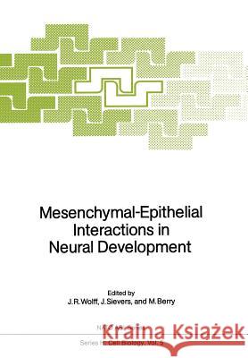 Mesenchymal-Epithelial Interactions in Neural Development Joachim R. Wolff Jobst Sievers Martin Berry 9783642718397