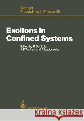 Excitons in Confined Systems: Proceedings of the International Meeting, Rome, Italy, April 13-16, 1987 Del Sole, Rodolfo 9783642732935 Springer