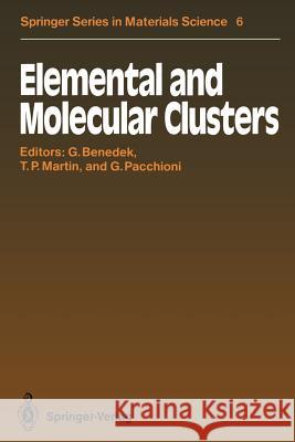Elemental and Molecular Clusters: Proceedings of the 13th International School, Erice, Italy, July 1-15, 1987 Benedek, Giorgio 9783642735035 Springer