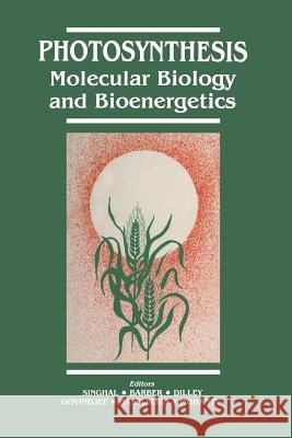 Photosynthesis: Molecular Biology and Bioenergetics Singhal, G. S. 9783642742231 Springer