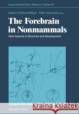 The Forebrain in Nonmammals: New Aspects of Structure and Development Schwerdtfeger, Walter K. 9783642753695