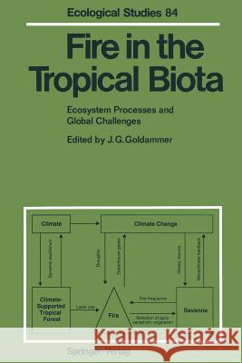 Fire in the Tropical Biota: Ecosystem Processes and Global Challenges Johann G. Goldammer 9783642753978 Springer-Verlag Berlin and Heidelberg GmbH & 
