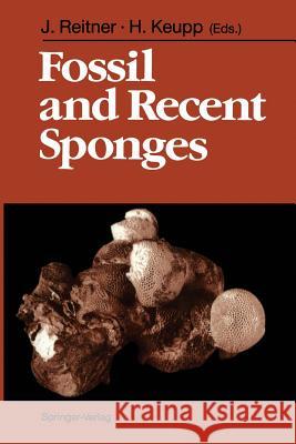 Fossil and Recent Sponges Joachim Reitner Helmut Keupp 9783642756580 Springer