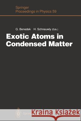 Exotic Atoms in Condensed Matter: Proceedings of the Erice Workshop at the Ettore Majorana Centre for Scientific Culture, Erice, Italy, May 19 - 25, 1 Benedek, Giorgio 9783642763724