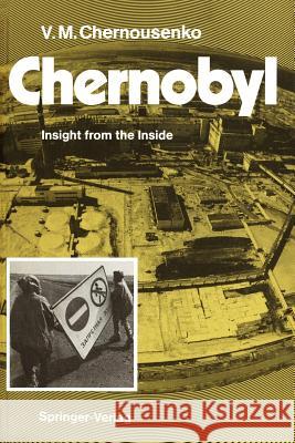 Chernobyl: Insight from the Inside Chernousenko, Vladimir M. 9783642764554 Springer