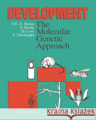 Development: The Molecular Genetic Approach Russo, Vincenzo E. a. 9783642770456 Springer