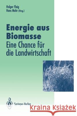 Energie Aus Biomasse: -- Eine Chance Für Die Landwirtschaft Flaig, Holger 9783642785122 Springer