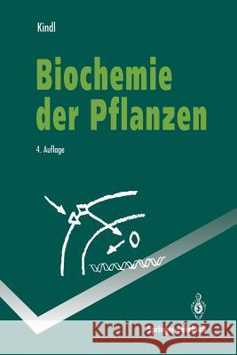 Biochemie Der Pflanzen Helmut Kindl 9783642785757 Springer