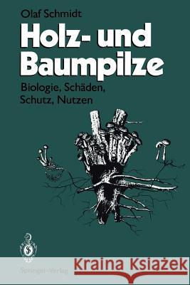 Holz- Und Baumpilze: Biologie, Schäden, Schutz, Nutzen Schmidt, Olaf 9783642785801